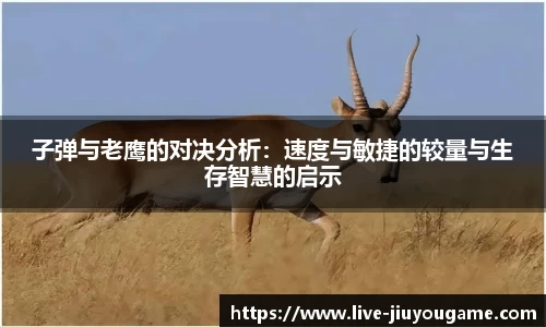 子弹与老鹰的对决分析：速度与敏捷的较量与生存智慧的启示